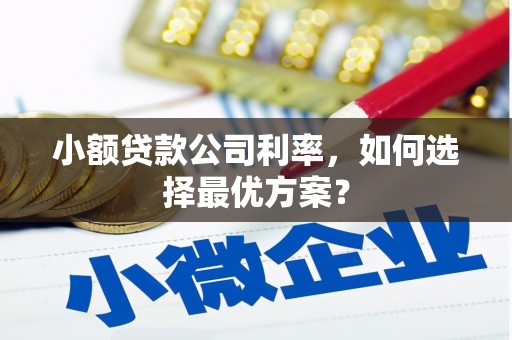 武鸣小额贷款公司利率，如何选择最优方案？