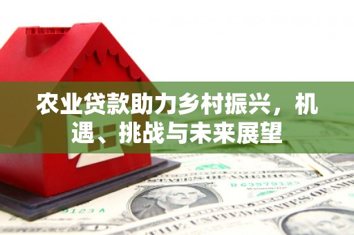 武鸣农业贷款助力乡村振兴，机遇、挑战与未来展望