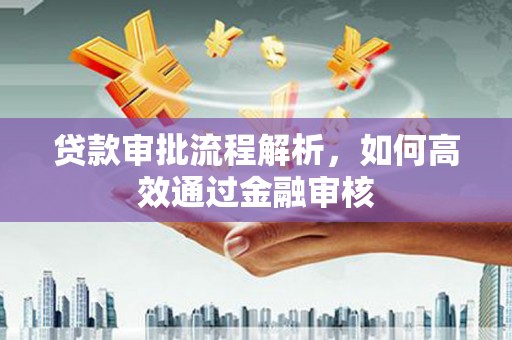 武鸣贷款审批流程解析，如何高效通过金融审核