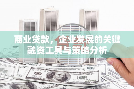 武鸣商业贷款，企业发展的关键融资工具与策略分析
