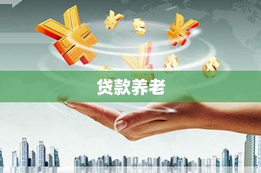 武鸣贷款养老