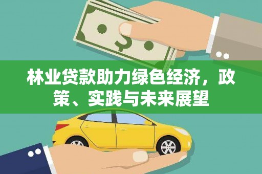 武鸣林业贷款助力绿色经济，政策、实践与未来展望