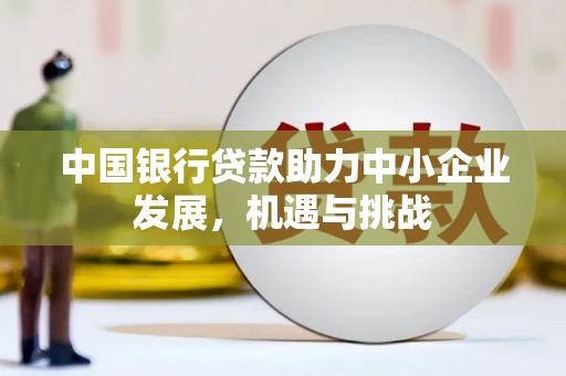 武鸣中国银行贷款助力中小企业发展，机遇与挑战