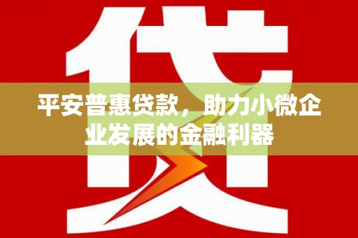 武鸣平安普惠贷款，助力小微企业发展的金融利器