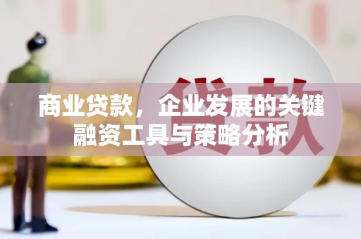 武鸣商业贷款，企业发展的关键融资工具与策略分析