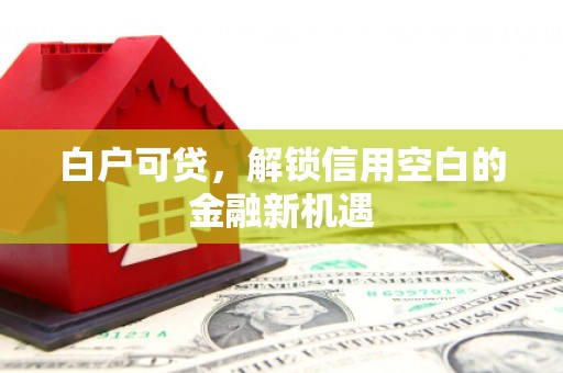 武鸣白户可贷，解锁信用空白的金融新机遇