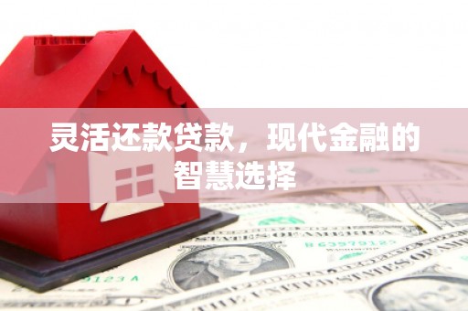 武鸣灵活还款贷款，现代金融的智慧选择