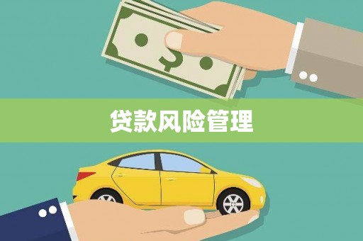 武鸣贷款风险管理