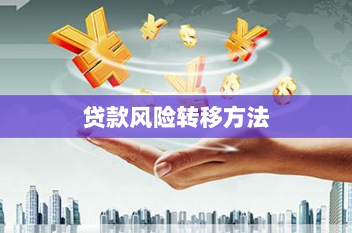 武鸣贷款风险转移方法