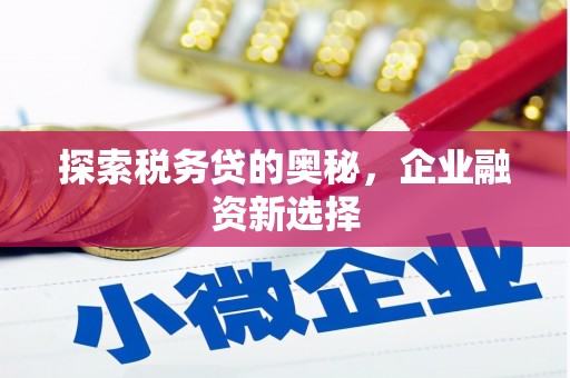 武鸣探索税务贷的奥秘，企业融资新选择