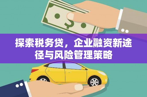 武鸣探索税务贷，企业融资新途径与风险管理策略