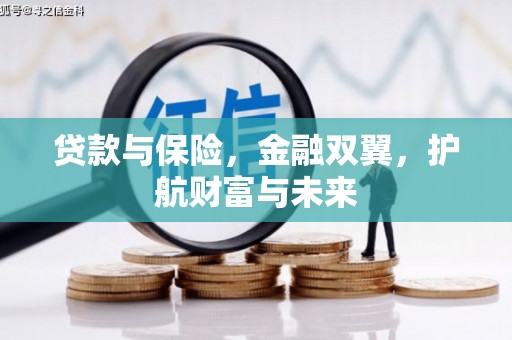 武鸣贷款与保险，金融双翼，护航财富与未来