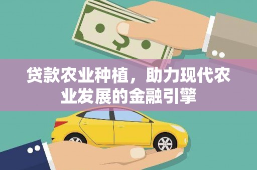武鸣贷款农业种植，助力现代农业发展的金融引擎