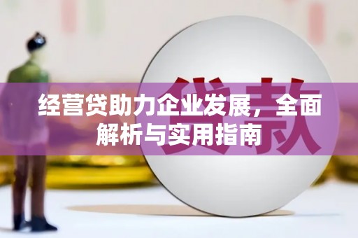 武鸣经营贷助力企业发展，全面解析与实用指南