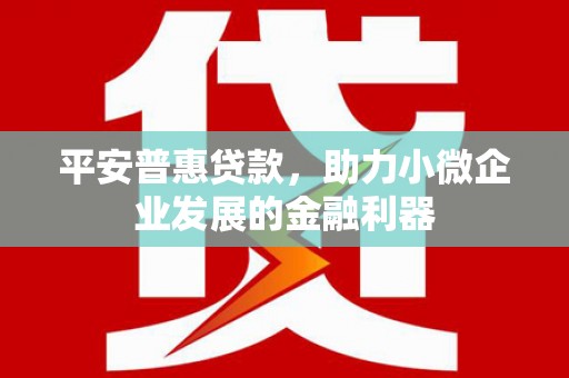 武鸣平安普惠贷款，助力小微企业发展的金融利器