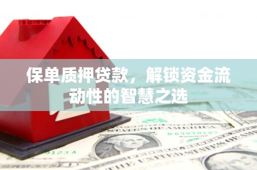 武鸣保单质押贷款，解锁资金流动性的智慧之选