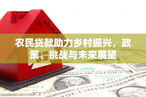 武鸣农民贷款助力乡村振兴，政策、挑战与未来展望