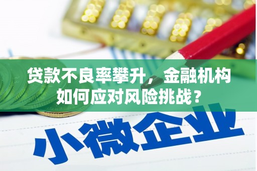 武鸣贷款不良率攀升，金融机构如何应对风险挑战？