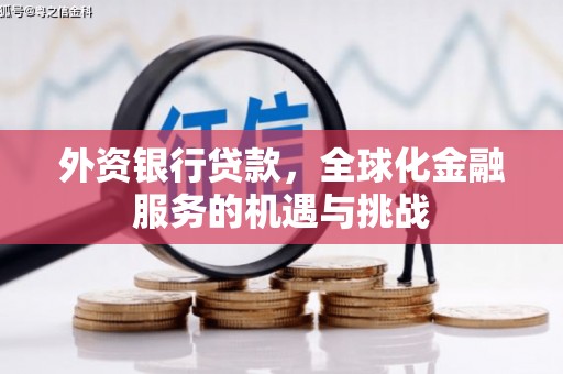 武鸣外资银行贷款，全球化金融服务的机遇与挑战