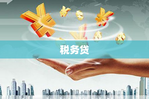 武鸣税务贷
