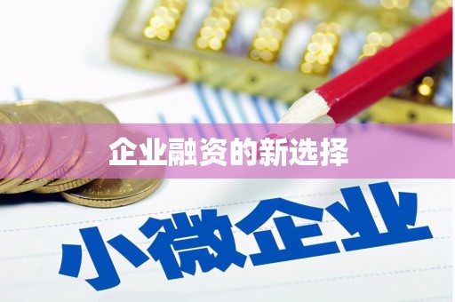 武鸣企业融资的新选择