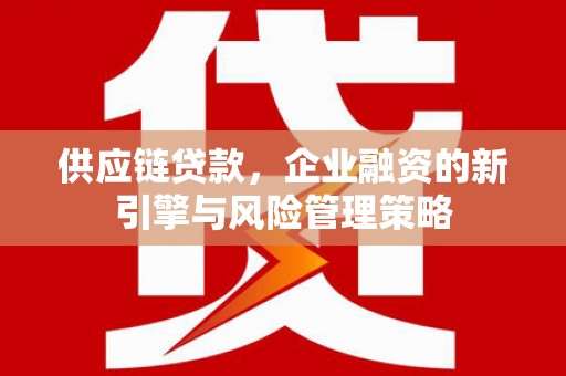 武鸣供应链贷款，企业融资的新引擎与风险管理策略