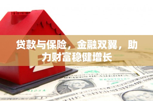 武鸣贷款与保险，金融双翼，助力财富稳健增长