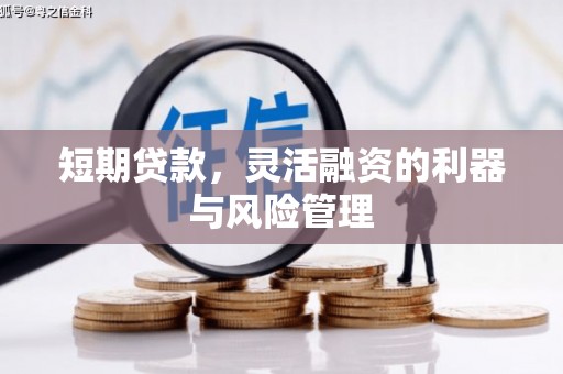 武鸣短期贷款，灵活融资的利器与风险管理