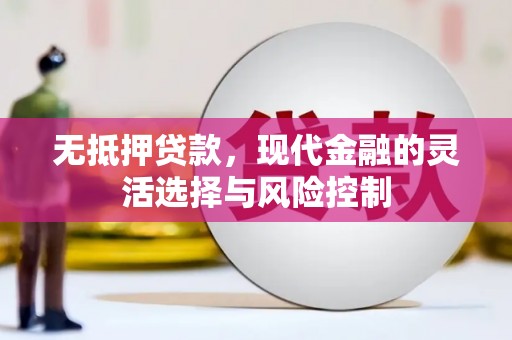 武鸣无抵押贷款，现代金融的灵活选择与风险控制