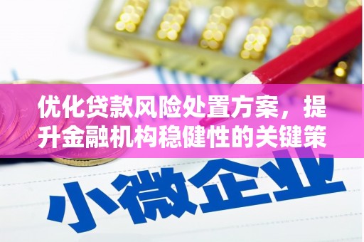 武鸣优化贷款风险处置方案，提升金融机构稳健性的关键策略