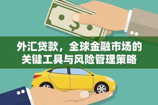 武鸣外汇贷款，全球金融市场的关键工具与风险管理策略