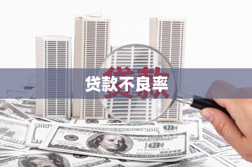 武鸣贷款不良率