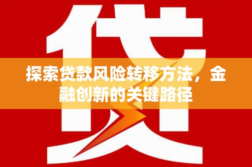 武鸣探索贷款风险转移方法，金融创新的关键路径