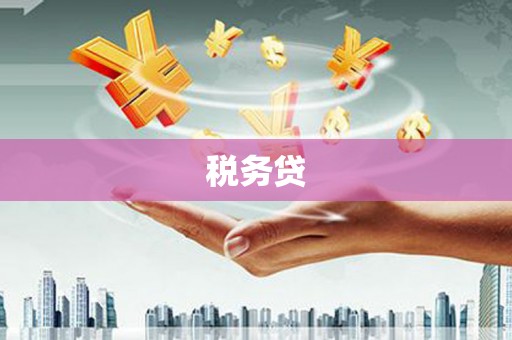 武鸣税务贷