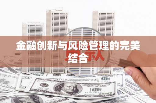 武鸣金融创新与风险管理的完美结合