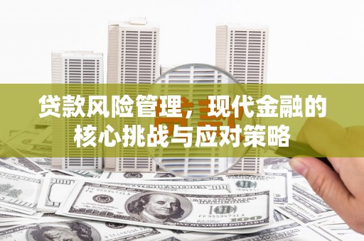 武鸣贷款风险管理，现代金融的核心挑战与应对策略