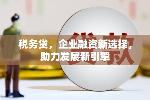 武鸣税务贷，企业融资新选择，助力发展新引擎