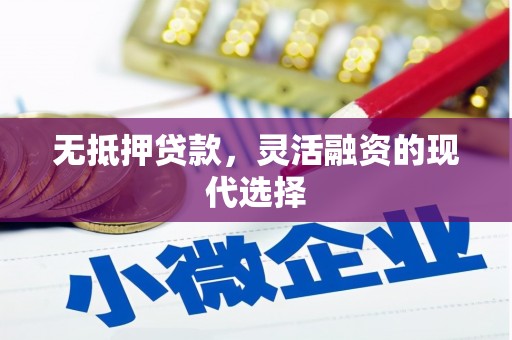 武鸣无抵押贷款，灵活融资的现代选择