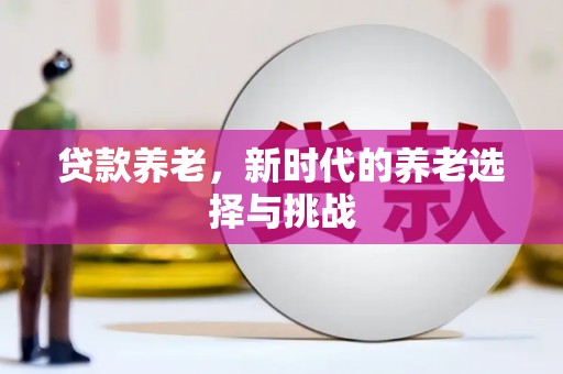 武鸣贷款养老，新时代的养老选择与挑战
