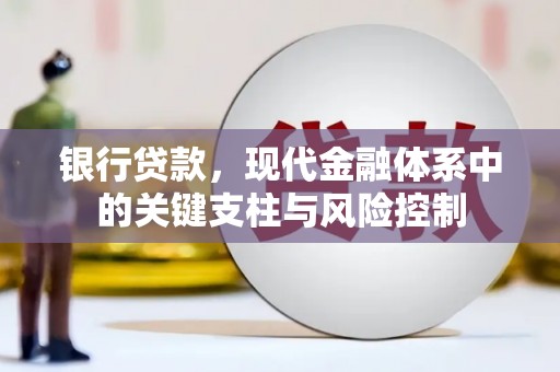 武鸣银行贷款，现代金融体系中的关键支柱与风险控制