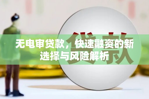 武鸣无电审贷款，快速融资的新选择与风险解析