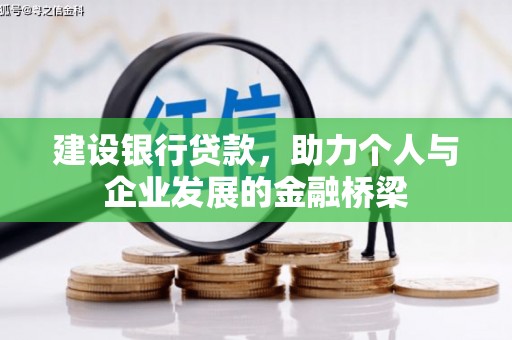 武鸣建设银行贷款，助力个人与企业发展的金融桥梁