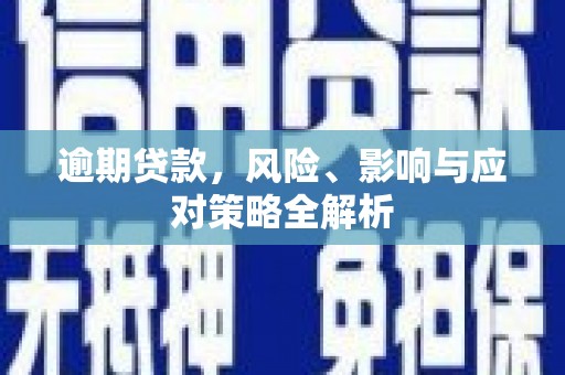 武鸣逾期贷款，风险、影响与应对策略全解析