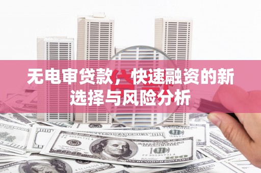 武鸣无电审贷款，快速融资的新选择与风险分析