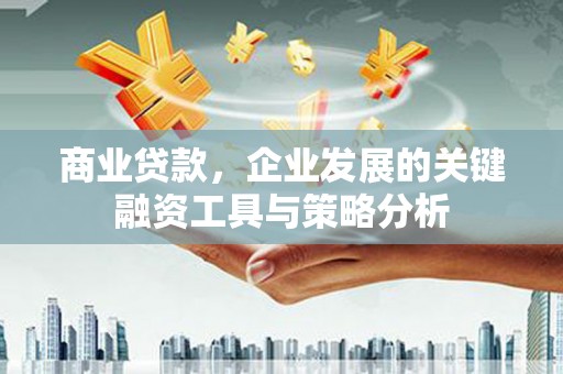 武鸣商业贷款，企业发展的关键融资工具与策略分析