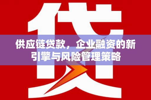 武鸣供应链贷款，企业融资的新引擎与风险管理策略