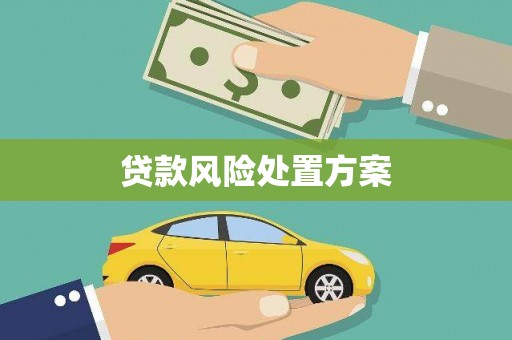 武鸣贷款风险处置方案