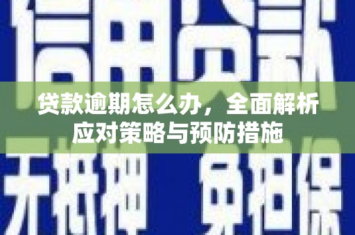 武鸣贷款逾期怎么办，全面解析应对策略与预防措施
