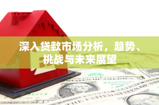 武鸣深入贷款市场分析，趋势、挑战与未来展望