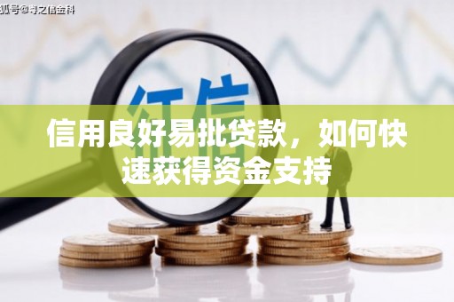 武鸣信用良好易批贷款，如何快速获得资金支持